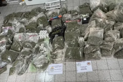 El cannabis incautado fue hallado distribuido en bolsas, cuidadosamente secado, procesado y sellado.